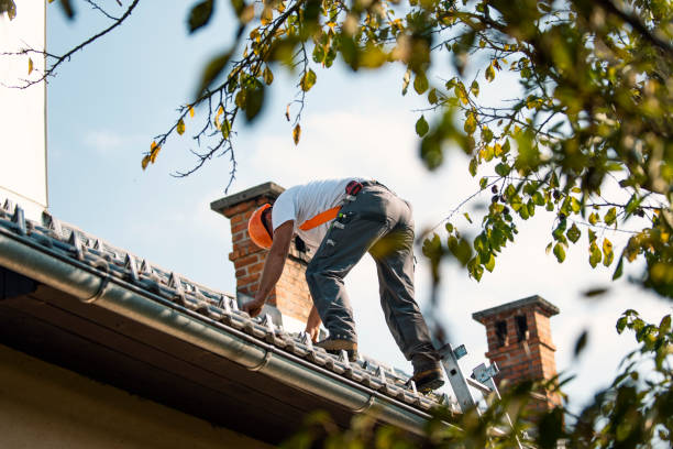 Best Metal Roofing Contractor  in Santa Clarita, CA
